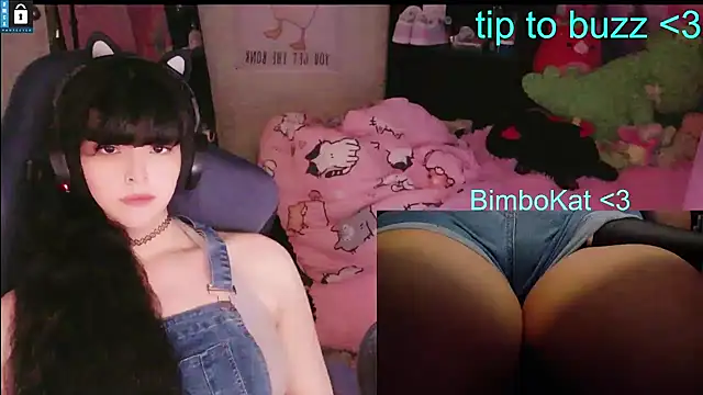 BimboCatのウェブカメラショー