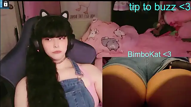 BimboCat: вебкам-шоу