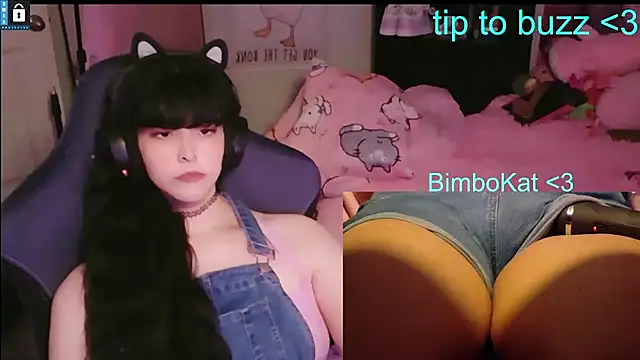 BimboCat – Kamerová šou