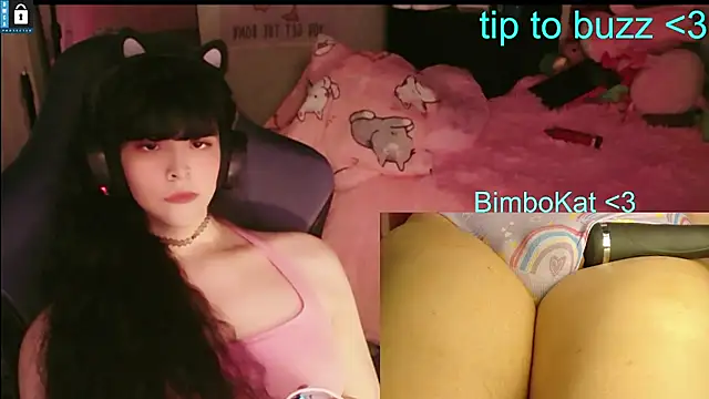 BimboCat 웹캠 쇼
