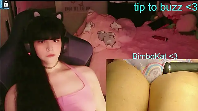 BimboCat: διαδικτυακό σόου στην κάμερα