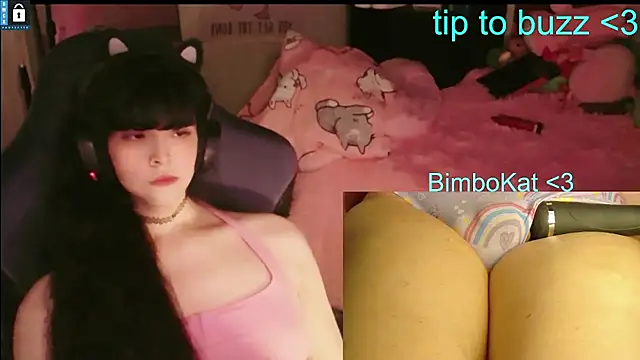 BimboCat 网络视讯表演