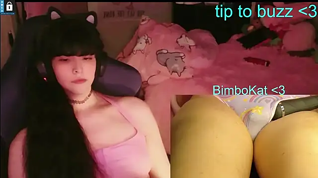 Show Webcam de BimboCat