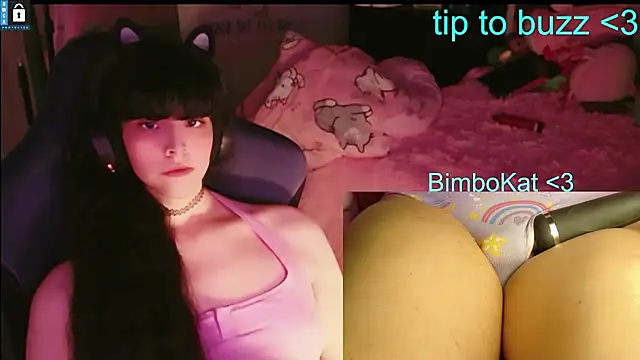 BimboCat webcam show