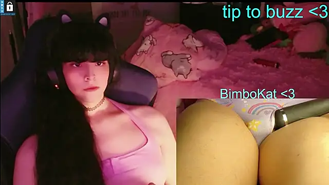 Show webcam de BimboCat