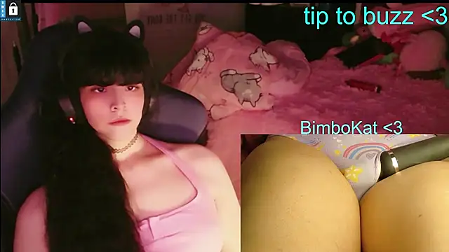 BimboCat 웹캠 쇼