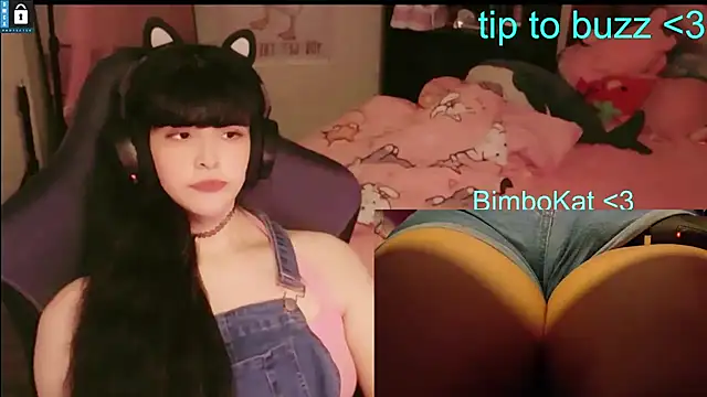 BimboCat 웹캠 쇼