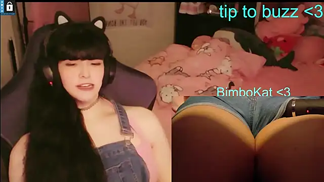 הופעת וובקאם של BimboCat