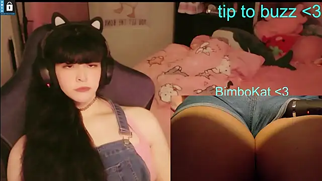 BimboCat Show in webcam