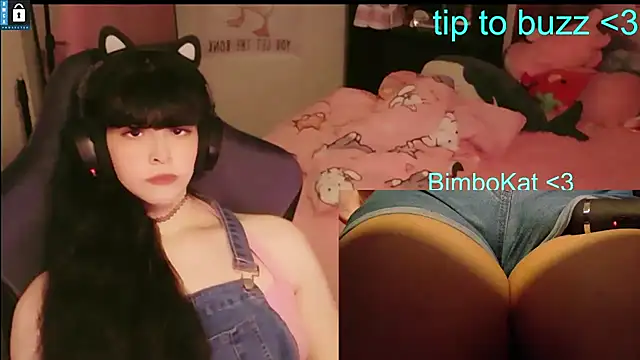 Show Webcam de BimboCat