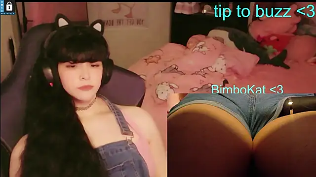 BimboCat webkamerás műsora