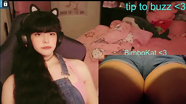 Show de BimboCat na webcam