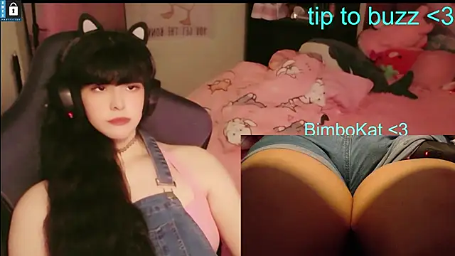 BimboCat Show in webcam