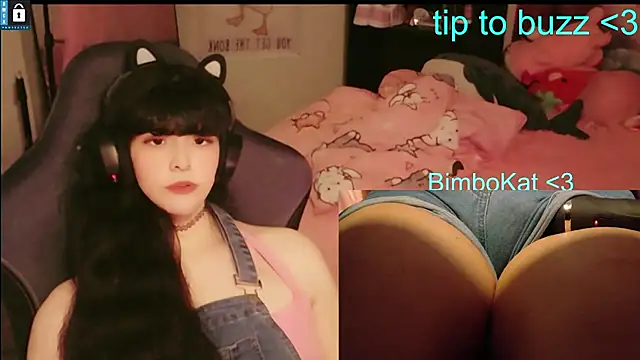 BimboCat: вебкам-шоу