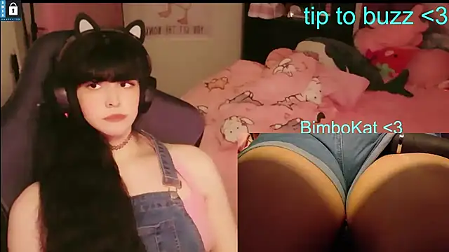 BimboCat Show in webcam