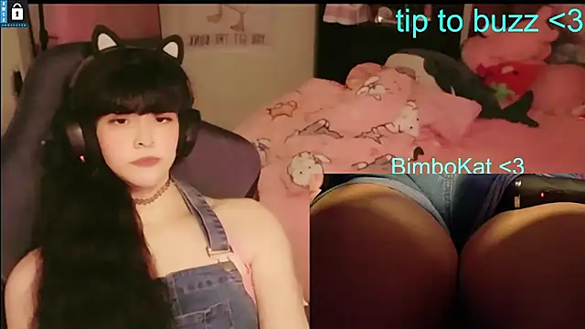 BimboCat webkamerás műsora
