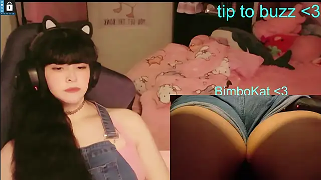 BimboCat 웹캠 쇼