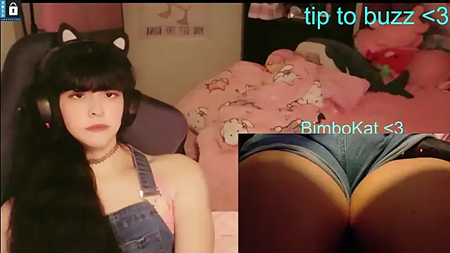 Show Webcam de BimboCat