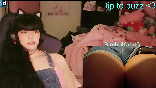 Show de BimboCat na webcam