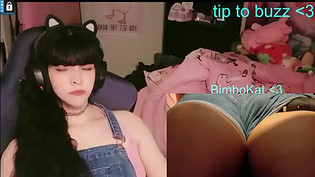 BimboCat Webcamshow