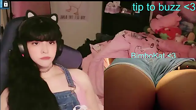 BimboCat: вебкам-шоу