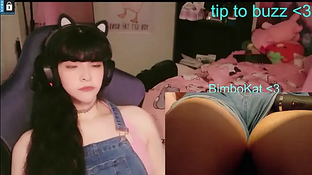 Show Webcam de BimboCat