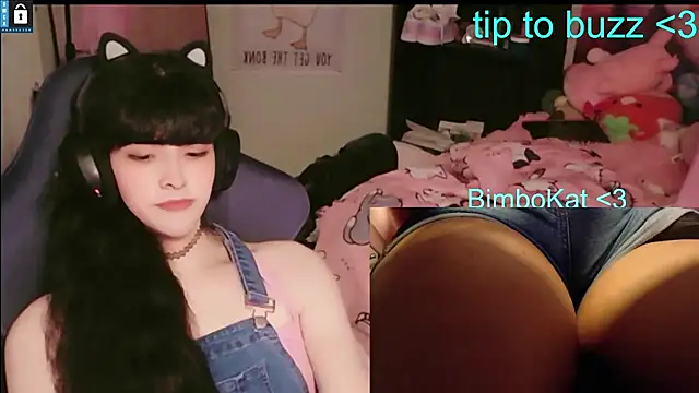BimboCat 웹캠 쇼