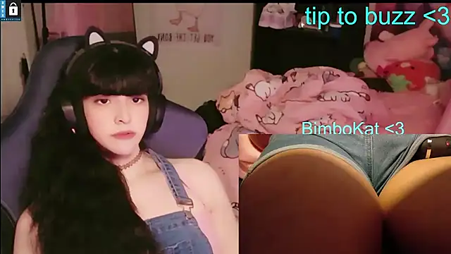 BimboCat Show Webcam