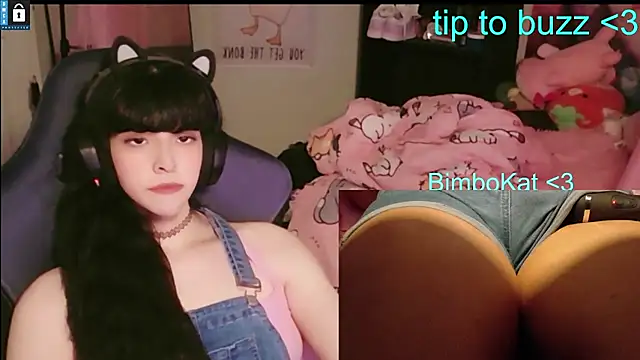 BimboCat Show in webcam