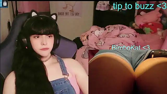 BimboCat: вебкам-шоу