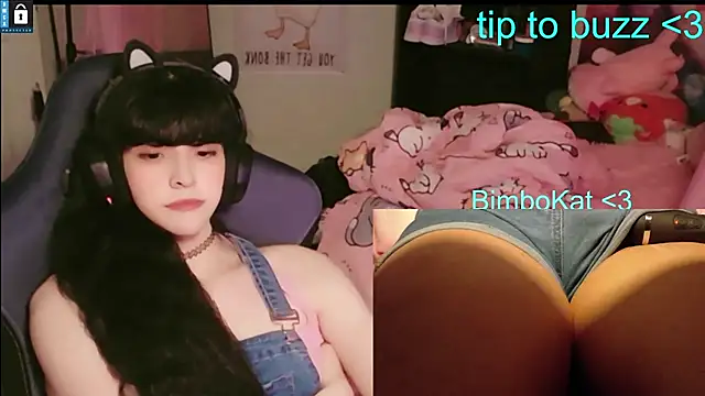 BimboCatのウェブカメラショー