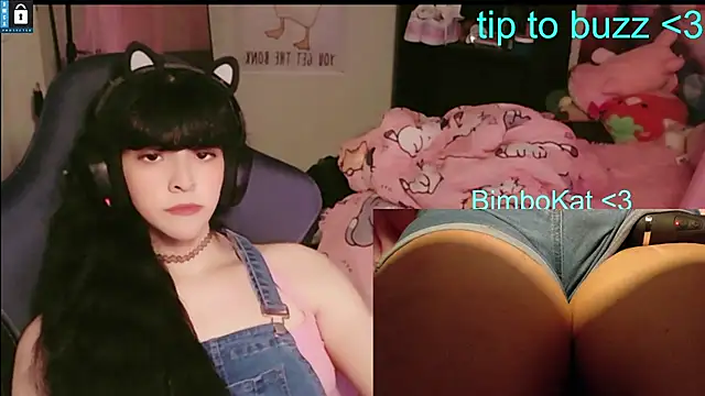 BimboCat Шоу с уебкамера