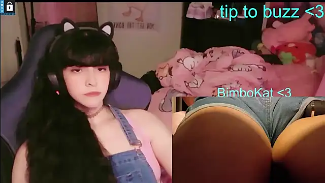 BimboCat Pertunjukan Webcam