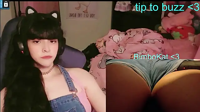 BimboCat ওয়েবক্যাম শো