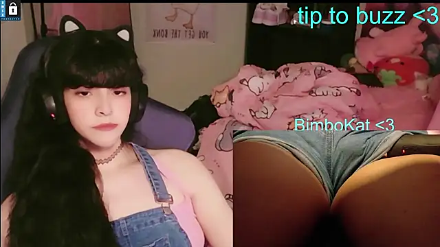 BimboCatのウェブカメラショー