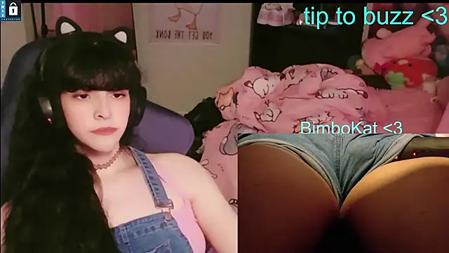 BimboCat Show in webcam