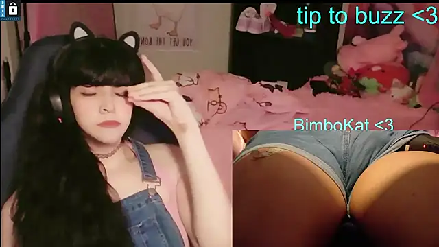 BimboCat: вебкам-шоу