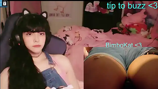 BimboCat: διαδικτυακό σόου στην κάμερα
