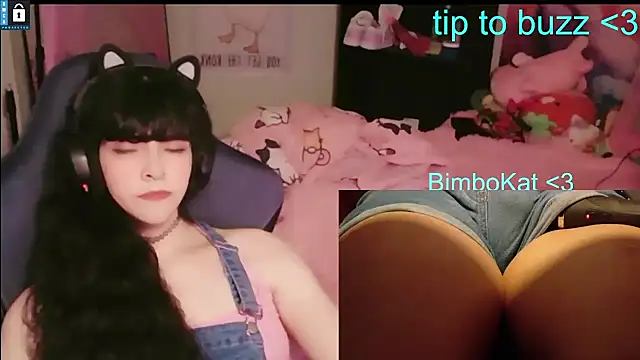 BimboCat: διαδικτυακό σόου στην κάμερα