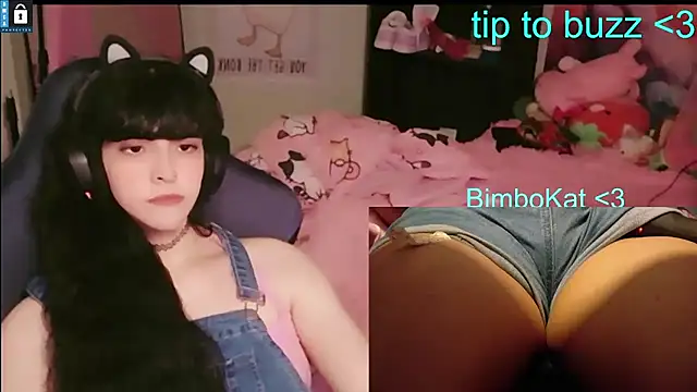 BimboCat ওয়েবক্যাম শো