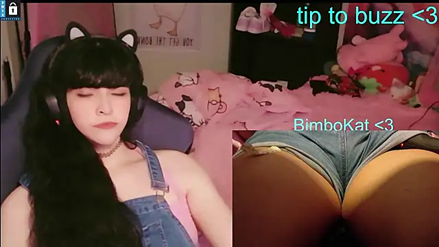 BimboCat: вебкам-шоу