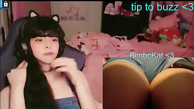 BimboCat 网络视讯表演