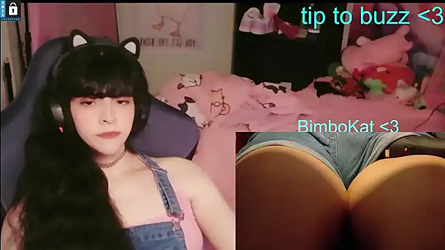 BimboCat Pertunjukan Webcam