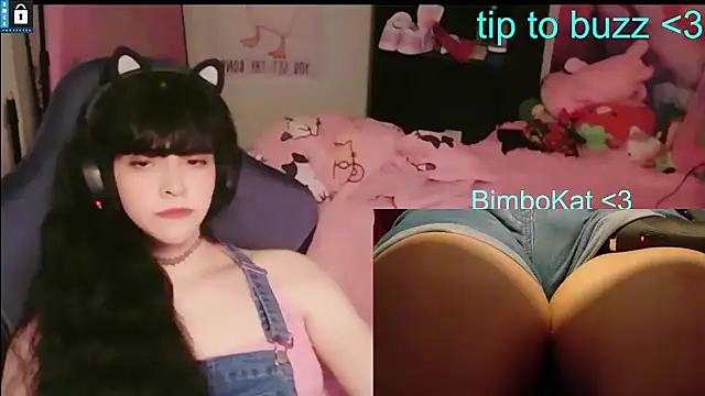 BimboCat webcam show