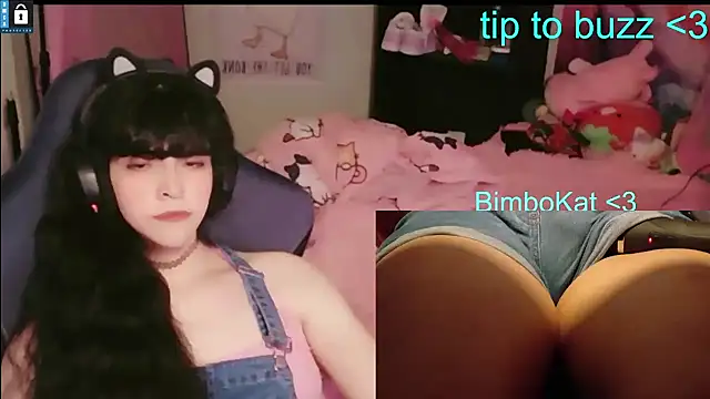 BimboCat: διαδικτυακό σόου στην κάμερα