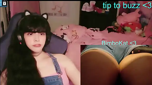 הופעת וובקאם של BimboCat