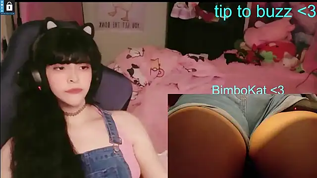 Show Webcam de BimboCat