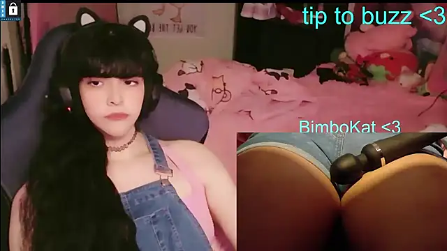 BimboCat Show in webcam