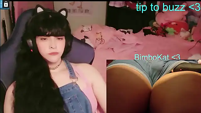 Show webcam de BimboCat