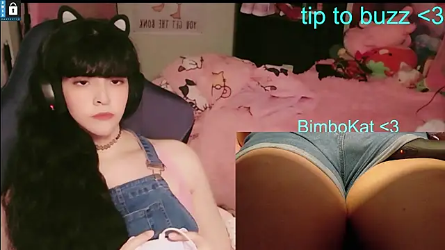 BimboCat Show Webcam